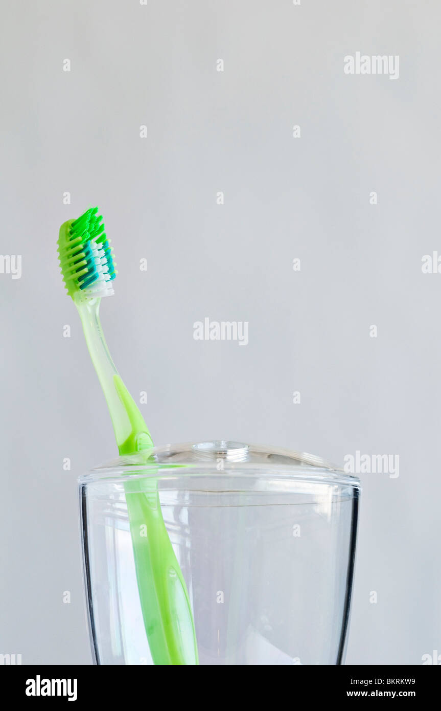 Single green toothbrush in bathroom toothbrush holder Stock Photo Alamy