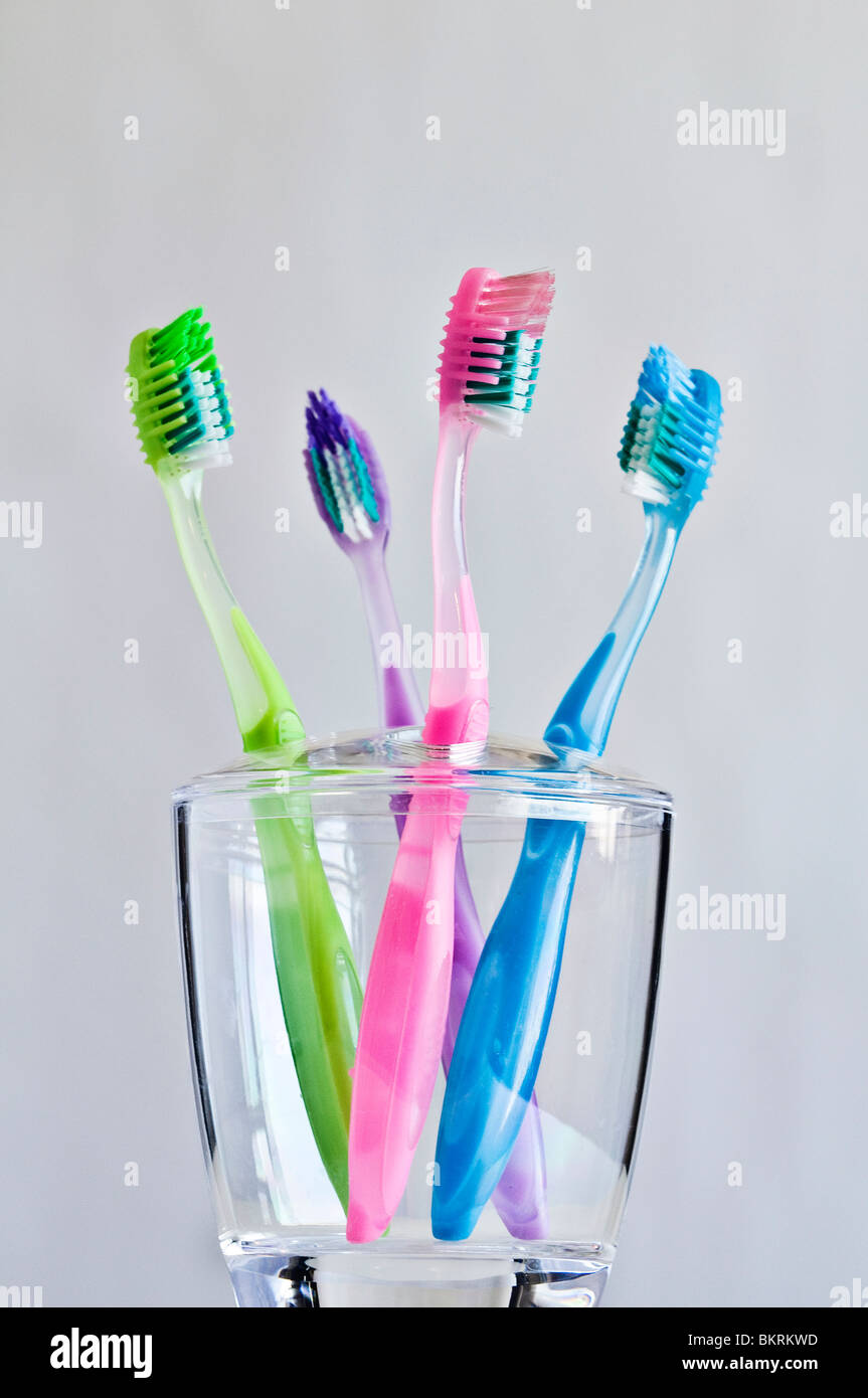 Four different colored toothbrushes in family toothbrush holder. Stock Photo