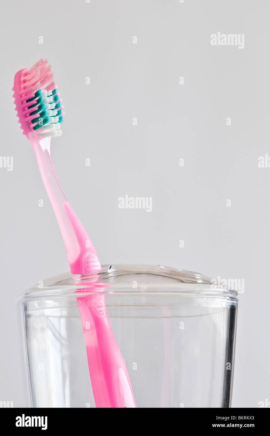 Toothbrush holder hires stock photography and images Alamy