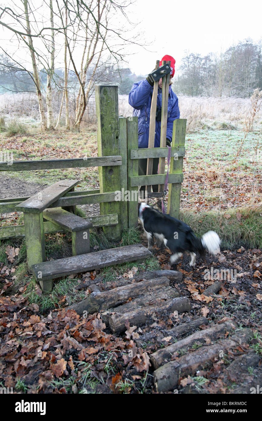 A woman with a dog lifting the dog stile gate for the dog to pass through at Wybunbury Moss Cheshire England Stock Photo