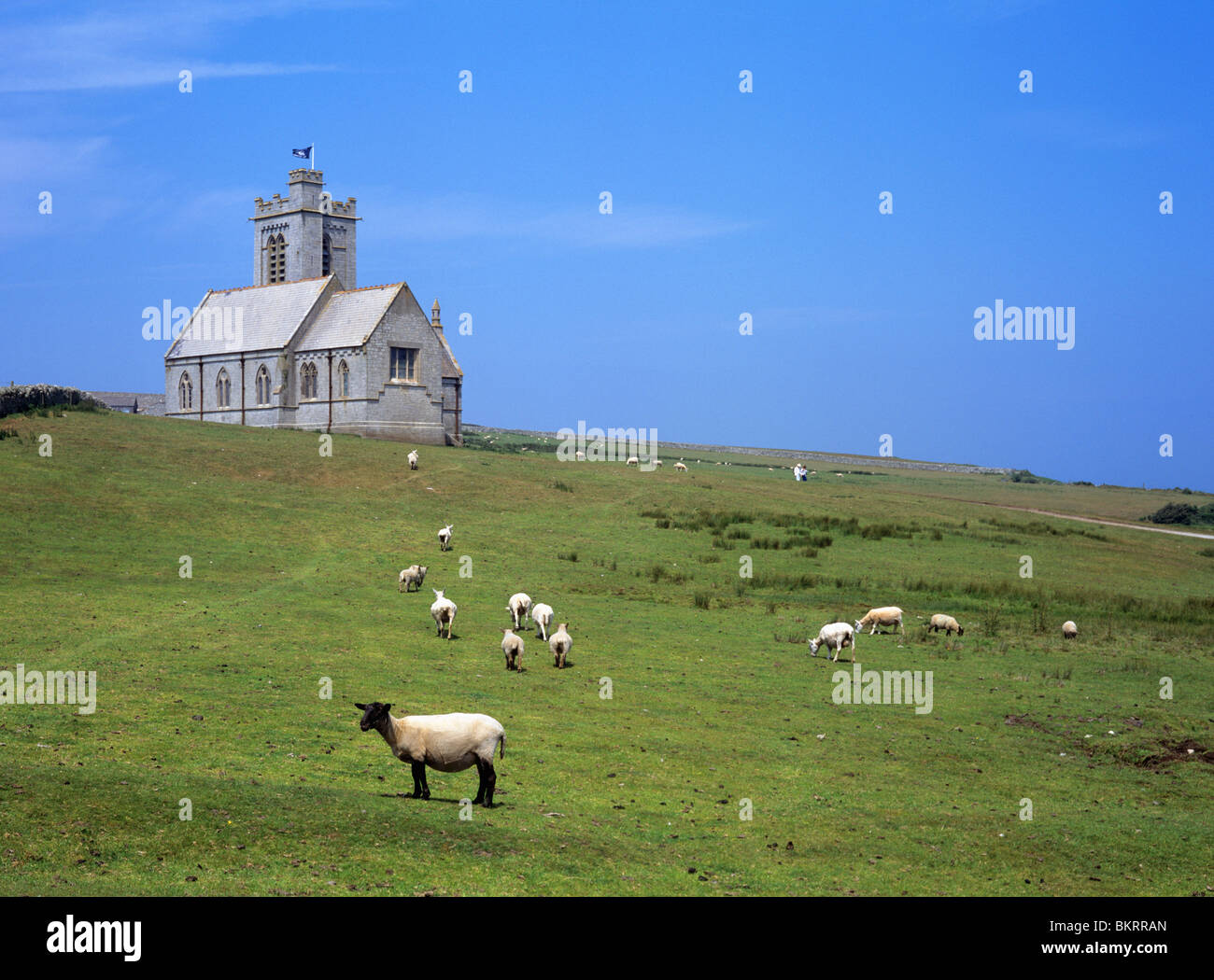 Lundy island hi-res stock photography and images - Alamy