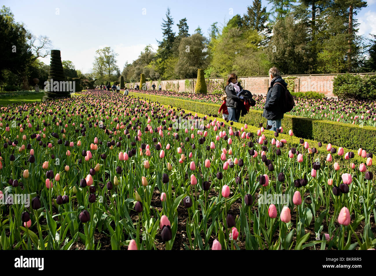 The Long Garden in Spring at Cliveden, Buckinghamshire, UK Stock Photo