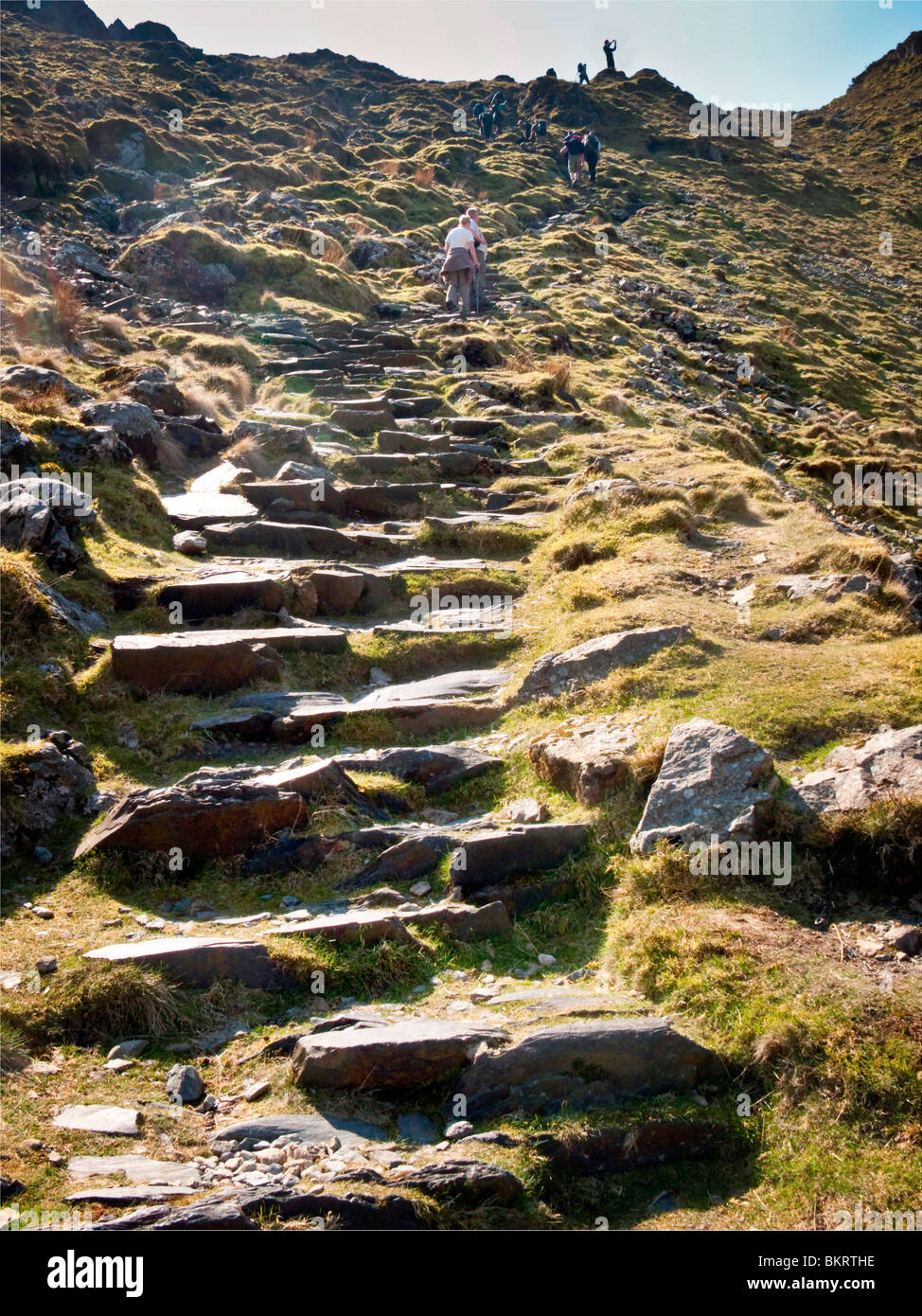 Rocky Mountain Path rocky-mountain-path