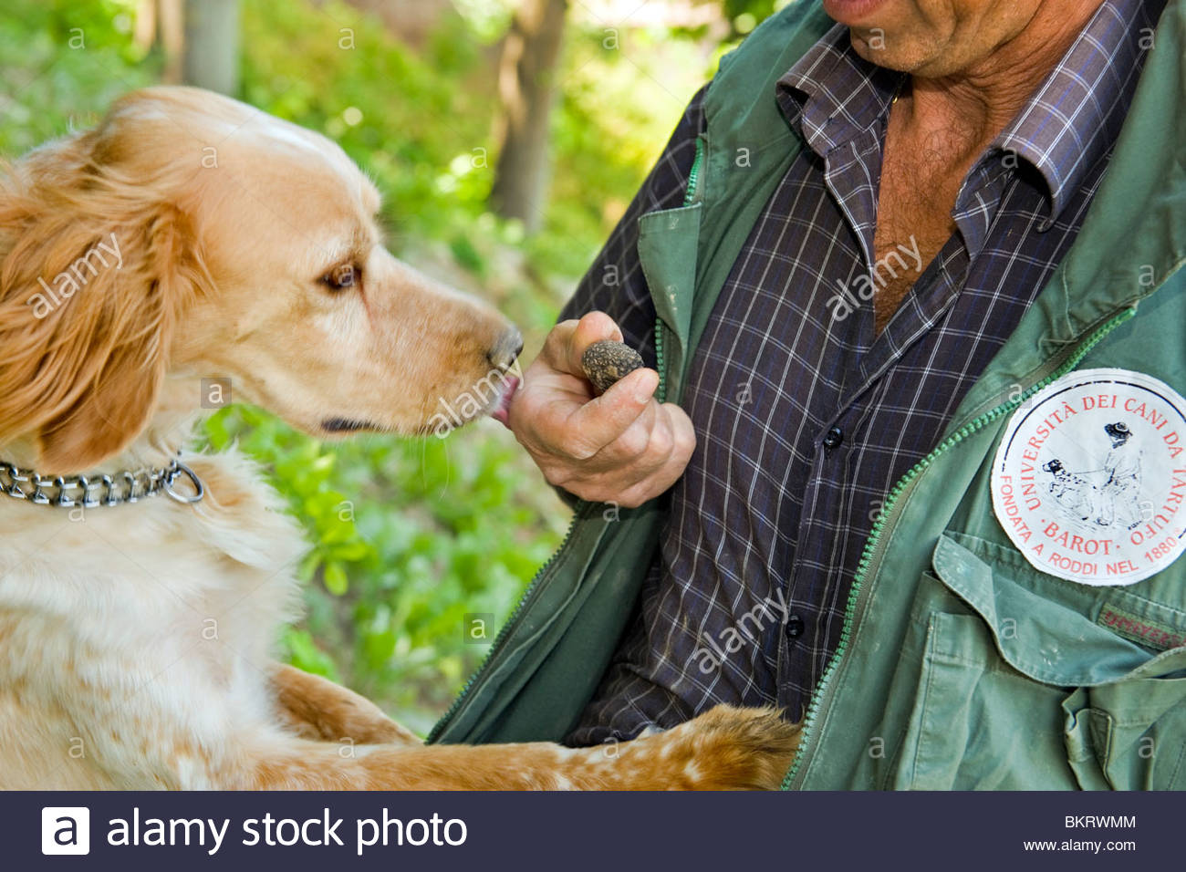 Truffle Seller High Resolution Stock Photography and Images Alamy