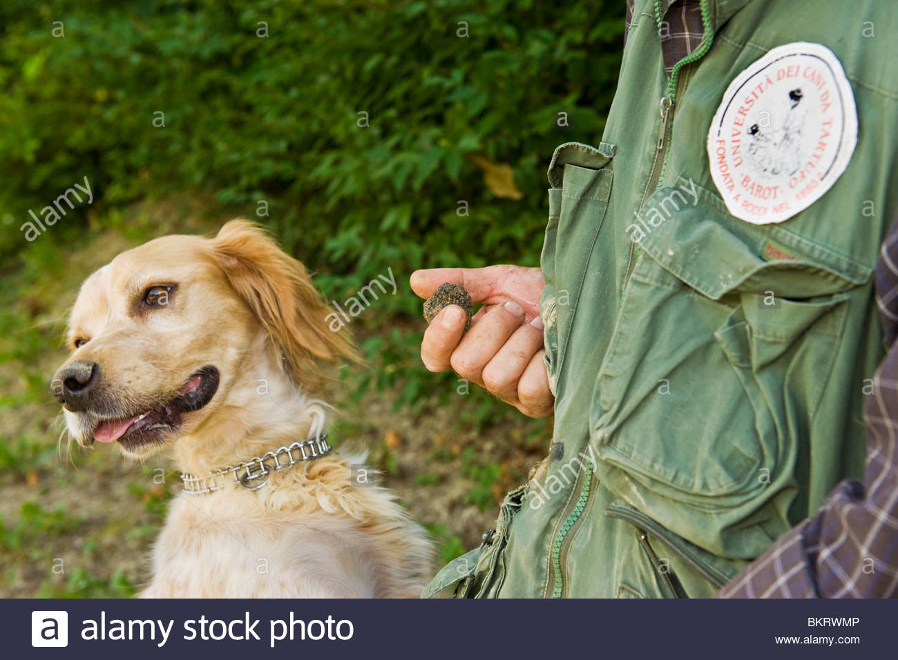 Truffle Seller High Resolution Stock Photography and Images Alamy