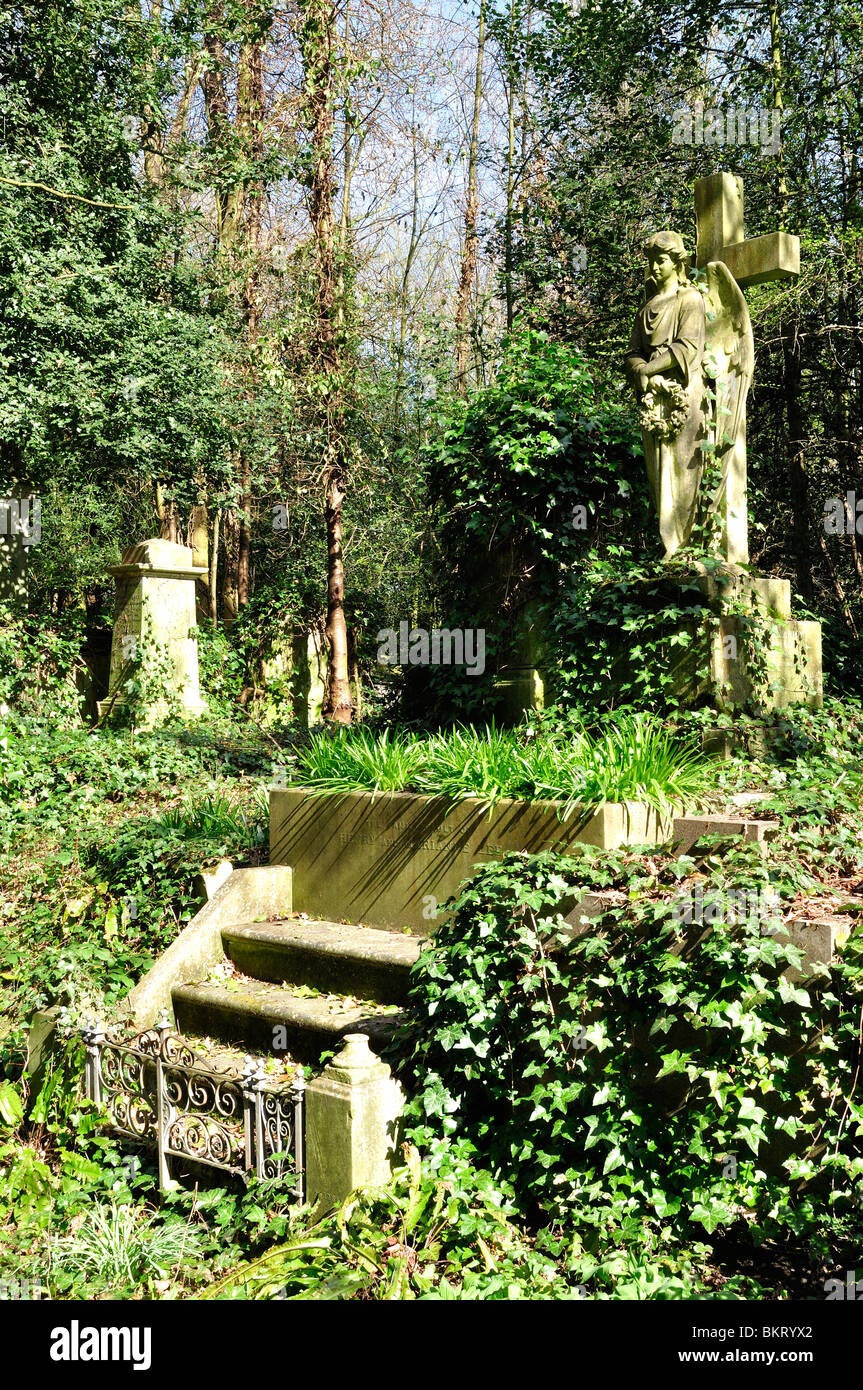 Overgrown Stone Angel On Victorian Tomb In Highgate Cemetery West