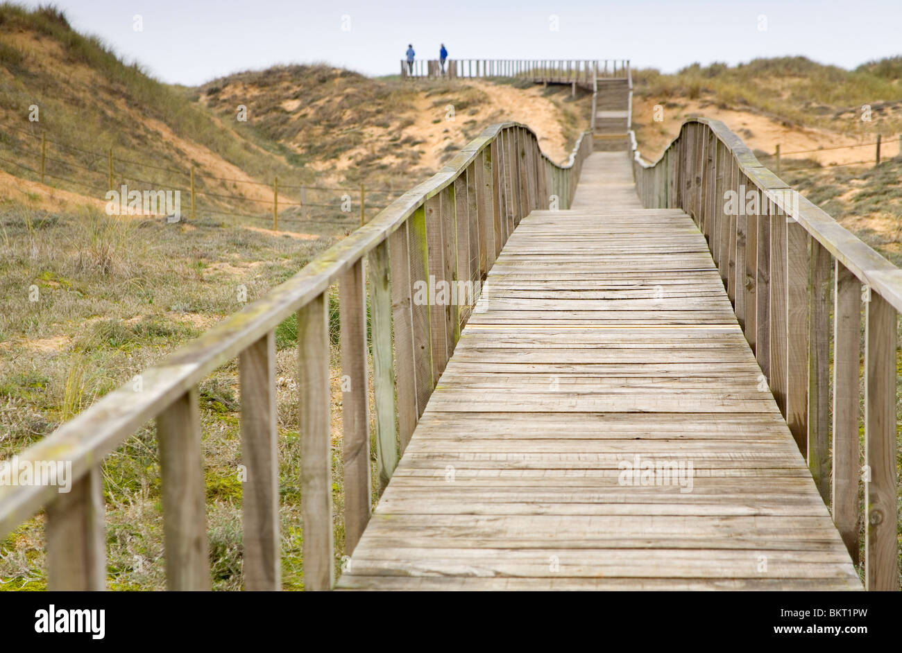 Wooden footbridge in sand dunes. Stock Photo
