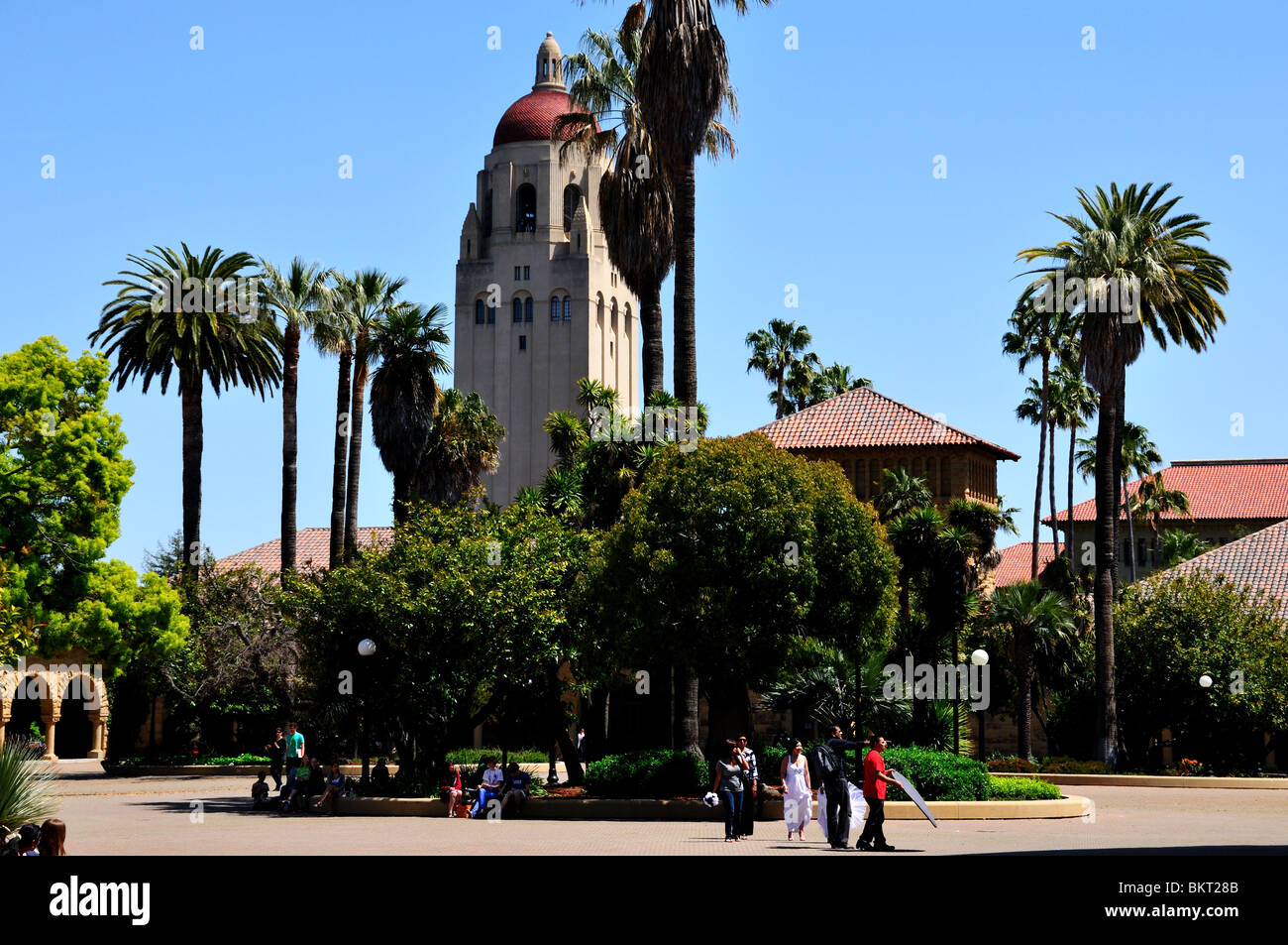 Stanford Tower housing the Hoover Institute. Stanford University, Palo Alto, California, USA. Stock Photo