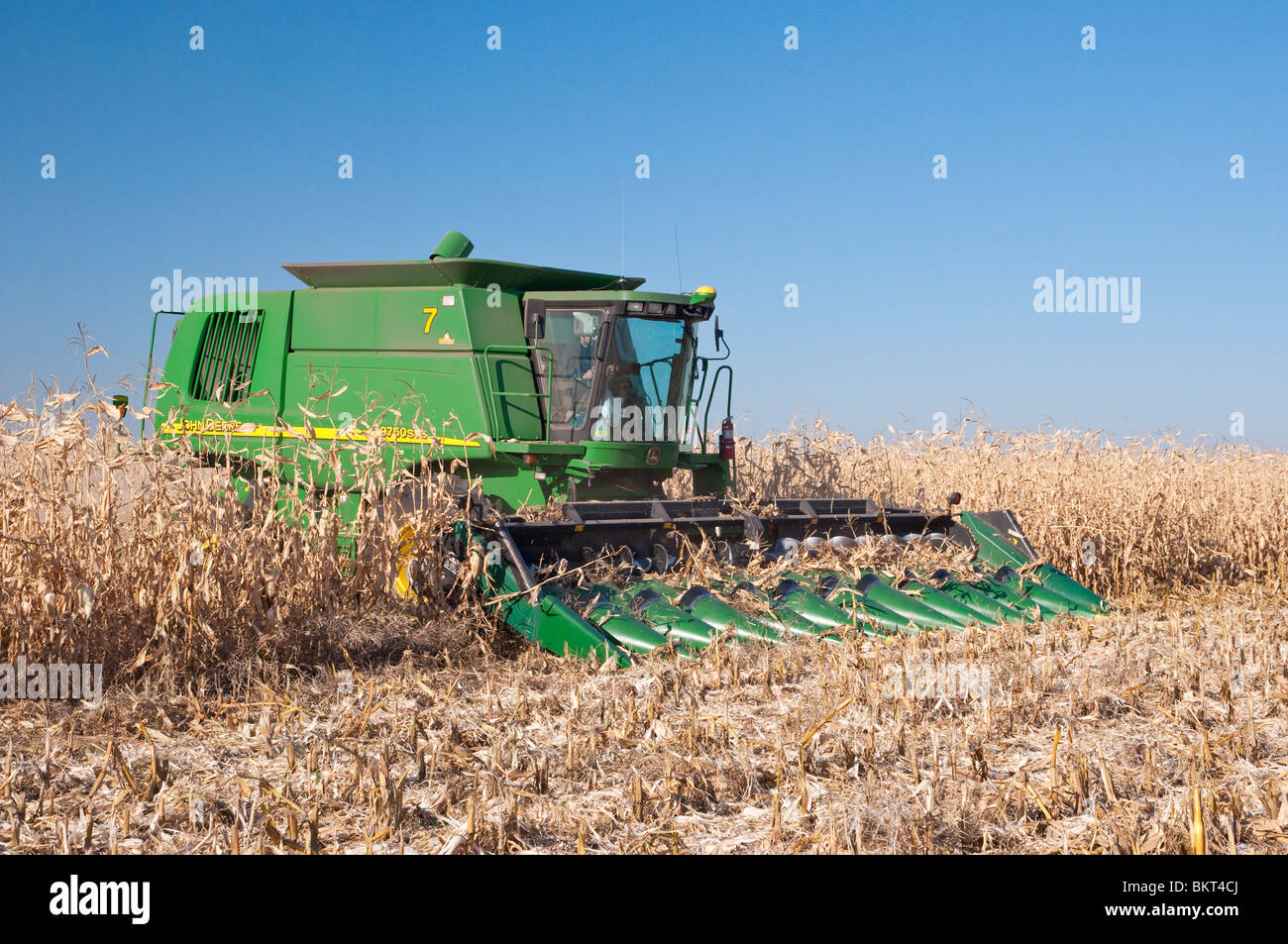 Corn harvest on the Froese farm near Winkler, Manitoba, Canada. Stock Photo
