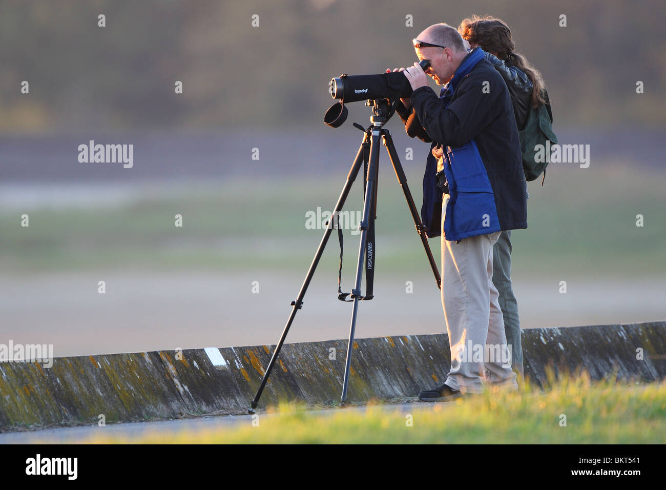 Nylon Ongemak Componeren Vogelkijkers met telescoop kijkt vogels in natuurreservaat, BelgiÃ«  Birdwatchers with telescope watches birds in nature reserve, Belgium Stock  Photo - Alamy