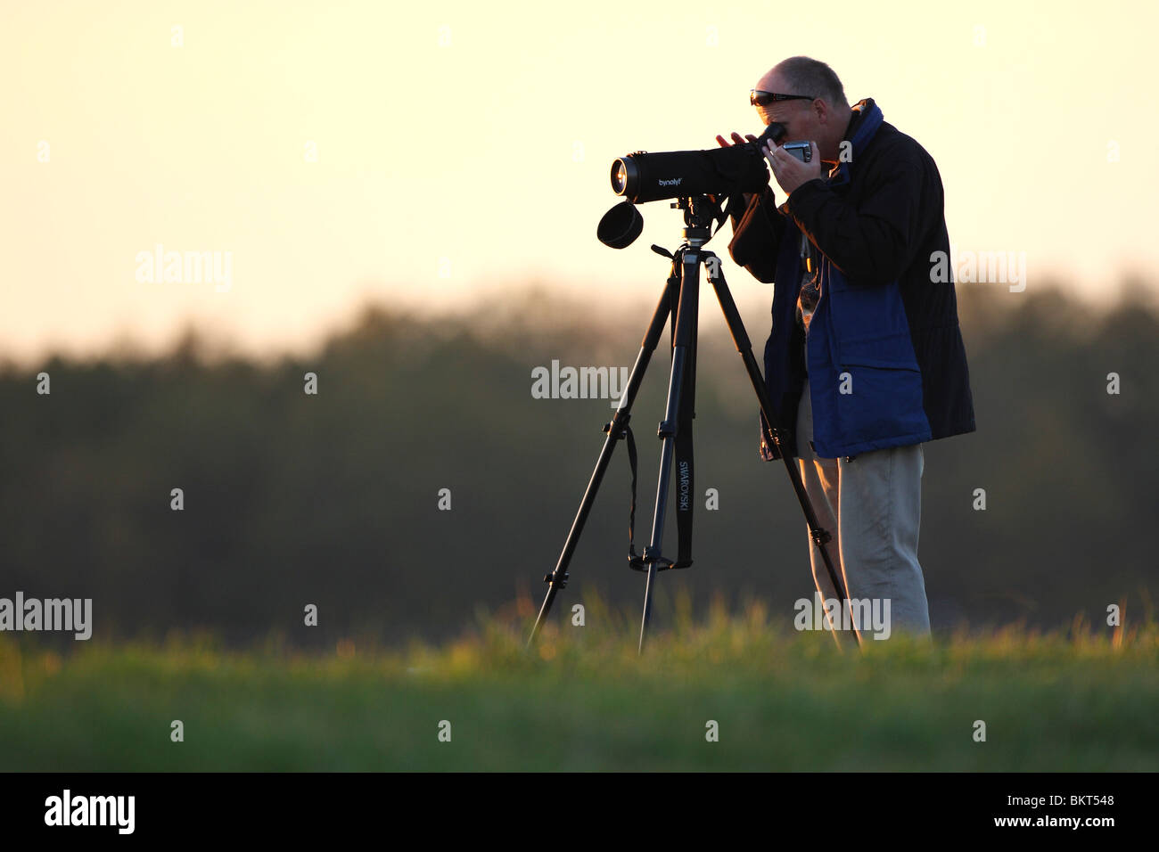 Vogelkijker met telescoop kijkt vogels in natuurreservaat, BelgiÃ«  Birdwatcher with telescope watches birds in nature reserve, Belgium Stock  Photo - Alamy