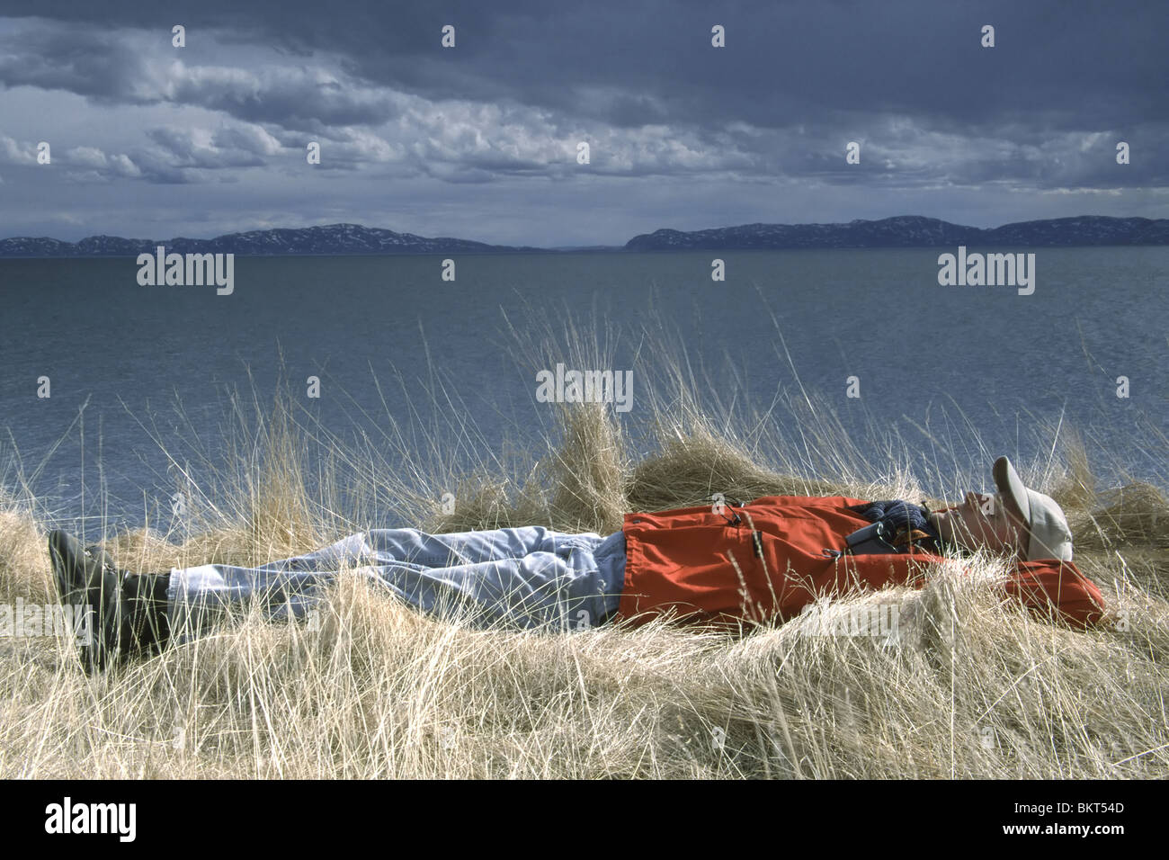 Uitrustende vogelkijker in gras langs kustlijn in Varangerfjord, Noorwegen, ScandinaviÃ« Relaxing birdwatcher in grass along coastline of Varangerfjord, Norway, Scandinavia Stock Photo