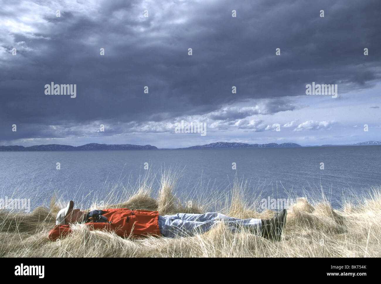Uitrustende vogelkijker in gras langs kustlijn in Varangerfjord, Noorwegen, ScandinaviÃ« Relaxing birdwatcher in grass along coastline of Varangerfjord, Norway, Scandinavia Stock Photo