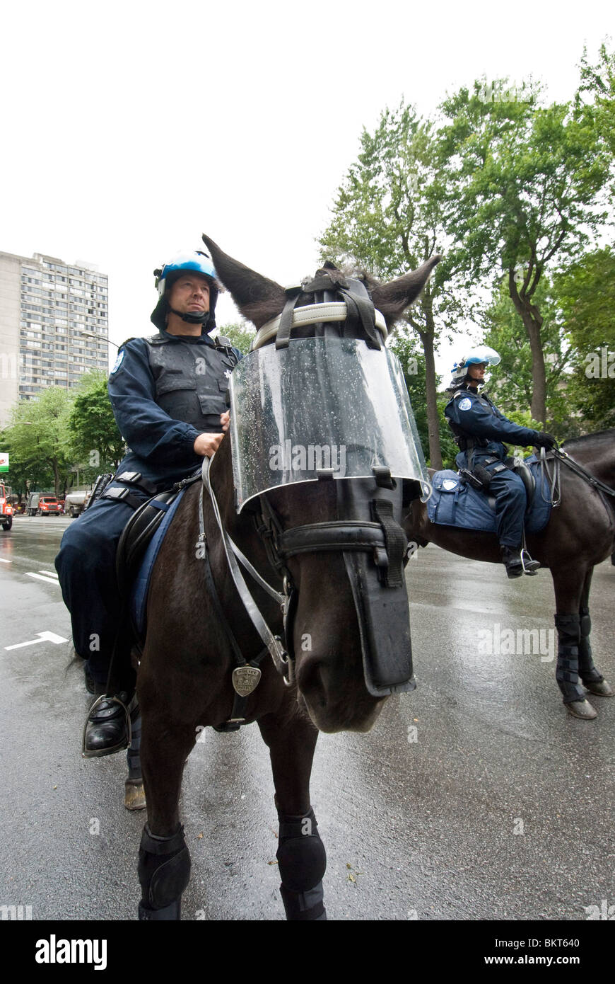 Police officers riding horses Montreal Canada Stock Photo Alamy