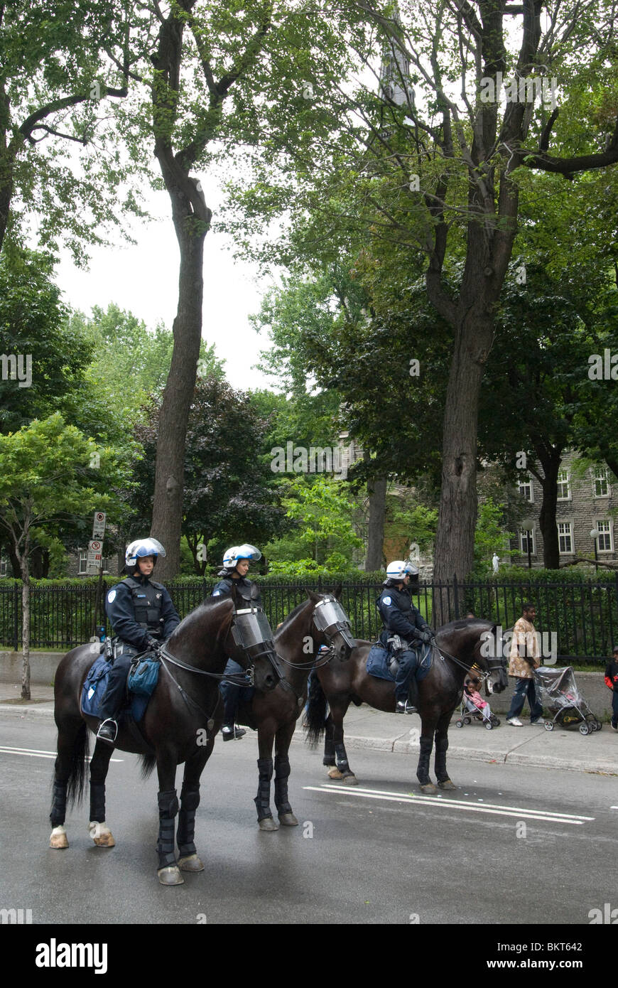 Police officers riding horses Montreal Canada Stock Photo Alamy