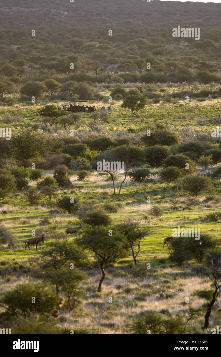 Tourists on a game drive, Erindi, Namibia. Stock Photo