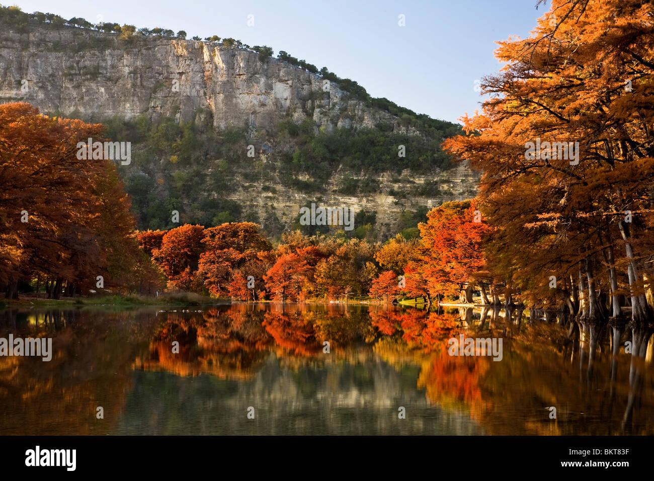 Fall colors of the Bald Cypress on the Frio river south Texas Stock ...