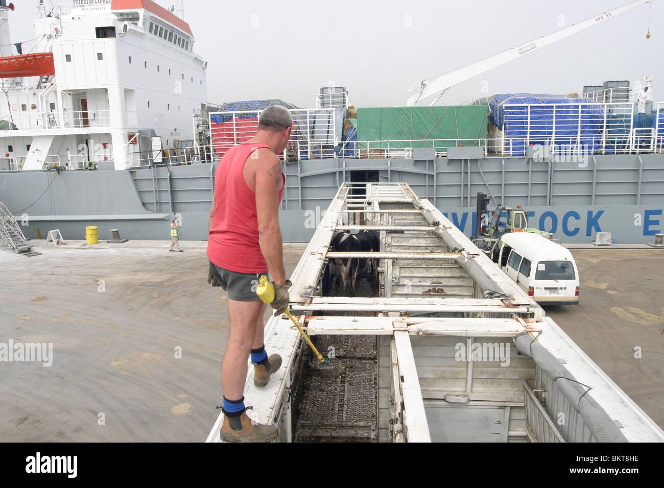 Cattle Transport Ship High Resolution Stock Photography and Images Alamy