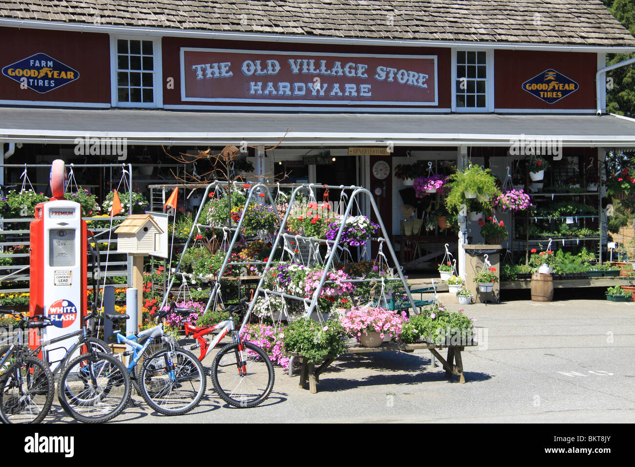Plants for sale at the Old Village Store in BirdinHand, PA Stock