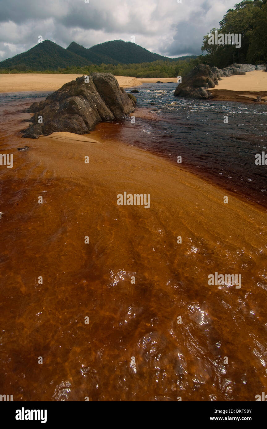 Tannin river hires stock photography and images Alamy