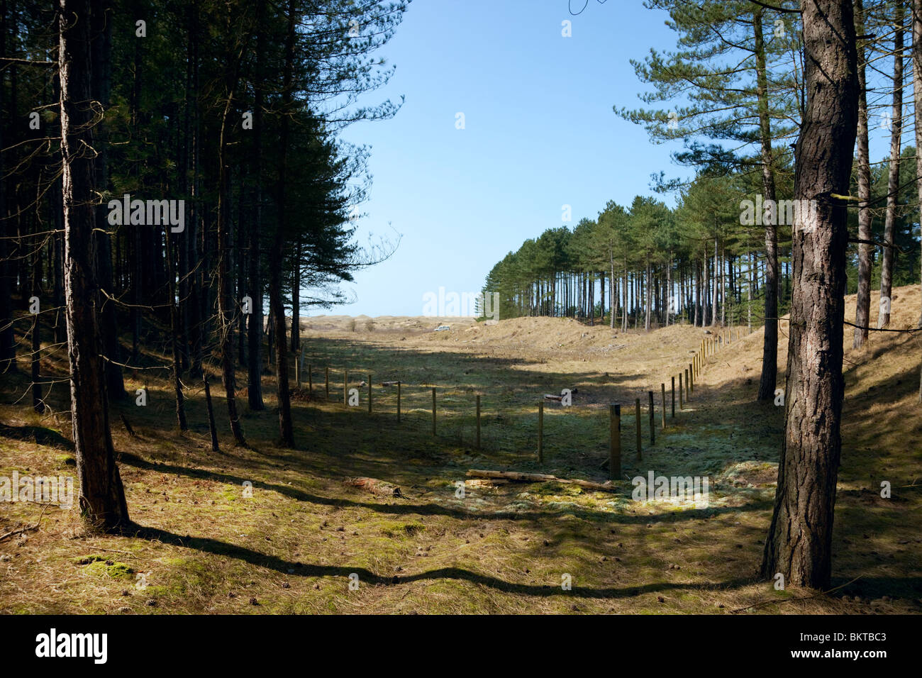 Ainsdale Sand Dunes National Nature Reserve Stock Photo