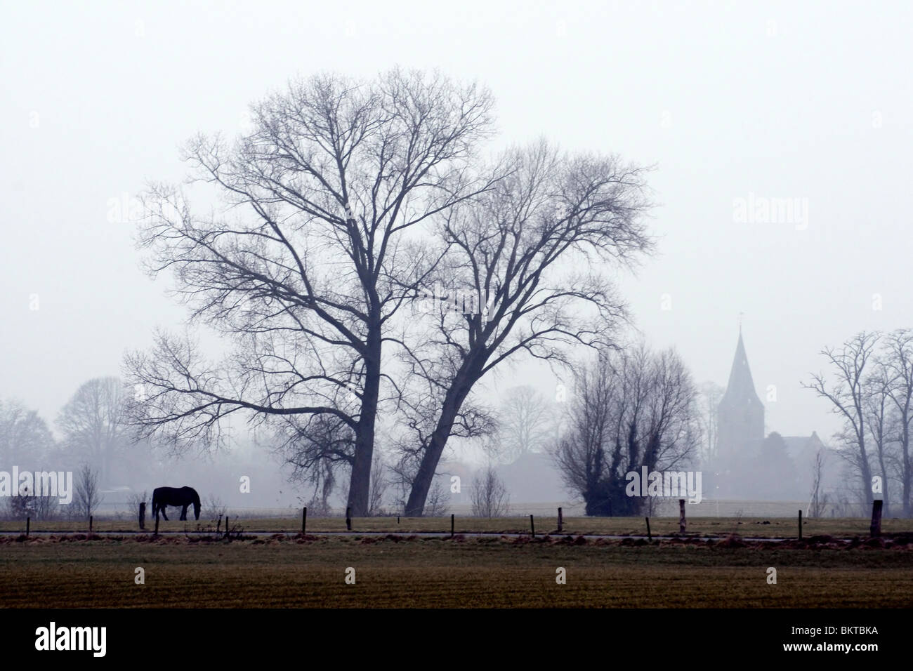 Landschap met paard boom en de kerk van Almen, Achterhoek. Stock Photo