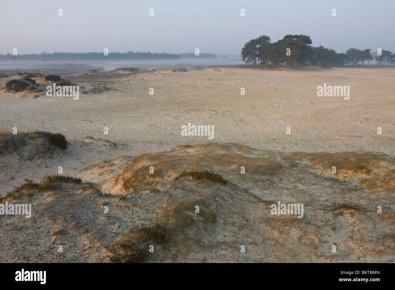 Sand drift on the Balloerveld Stock Photo