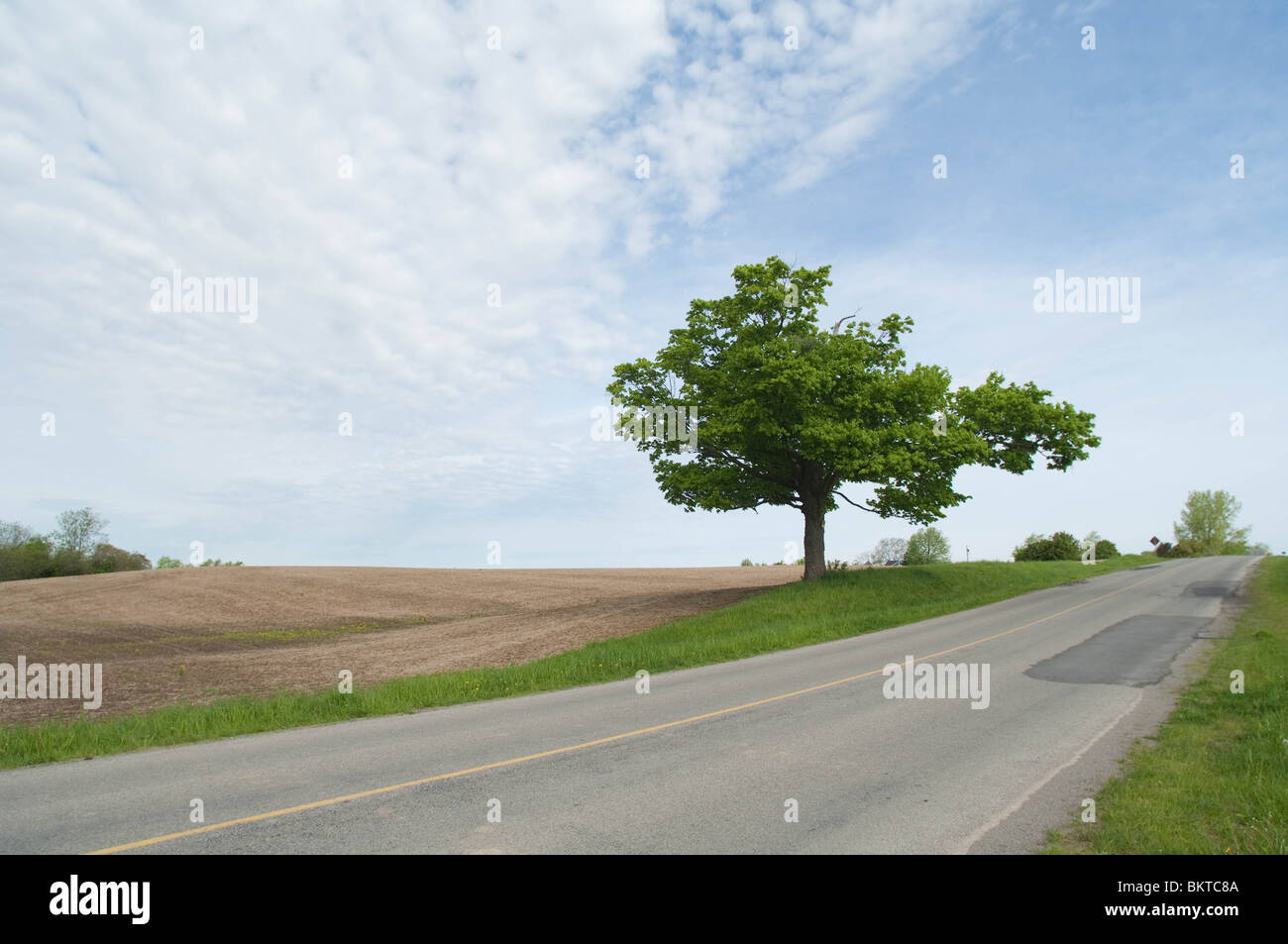 Roadside view of rural countryside in the Niagara Region. Stock Photo