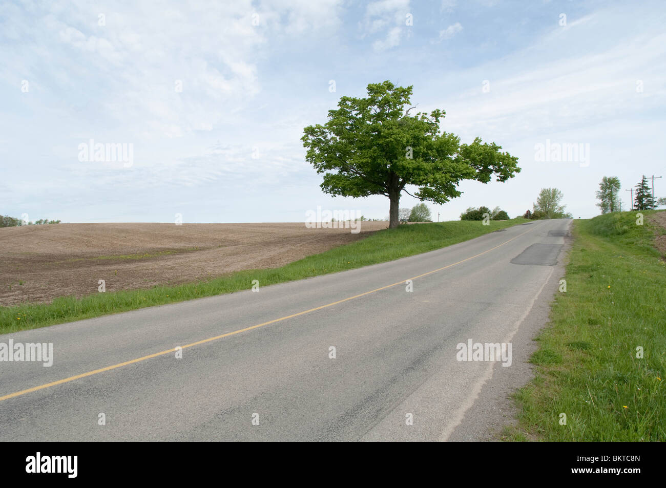 Roadside view of rural countryside in the Niagara Region. Stock Photo