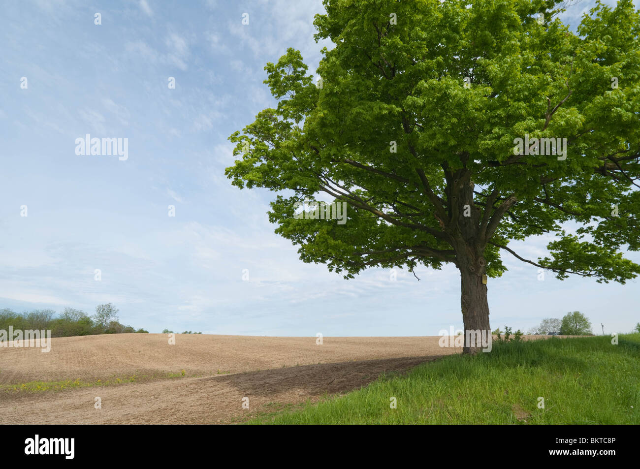 Roadside view of rural countryside in the Niagara Region. Stock Photo