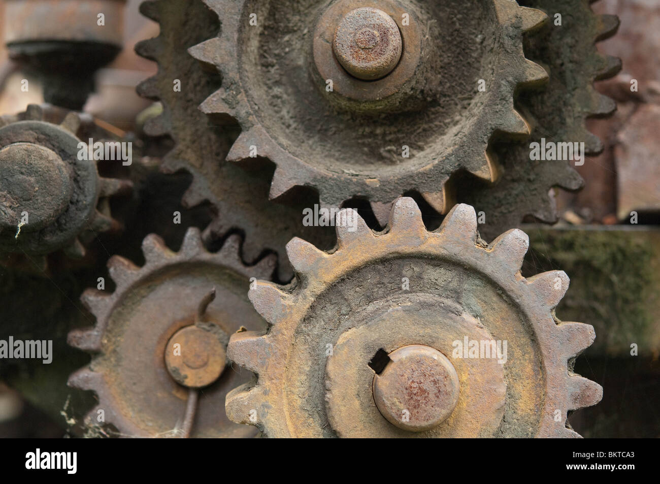 Antique cogs and gears lie exposed to the elements on an antique piece of farm machinery. Stock Photo