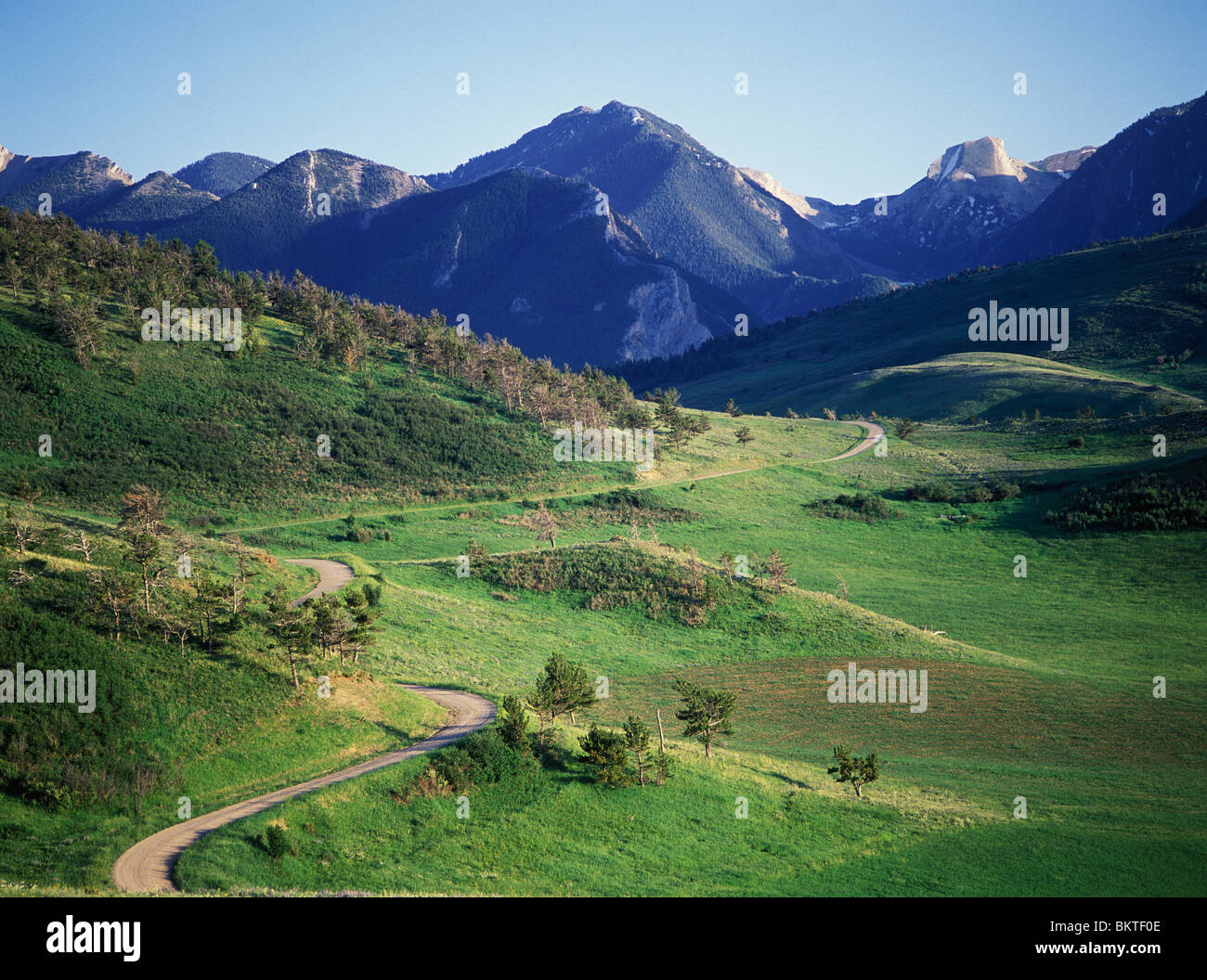 Winding gravel mountain road loops through the green foothills of the