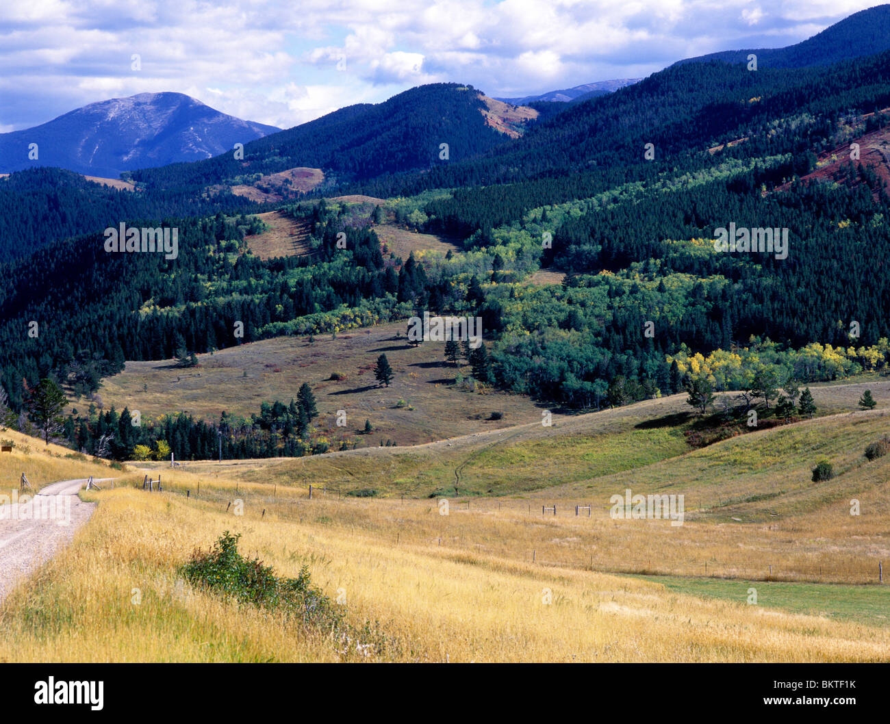 Mission Meadow Road, a county gravel road on the edge of the Absaroka-Beartooth Wilderness, Absaroka Mountains,  Montana, USA. Stock Photo