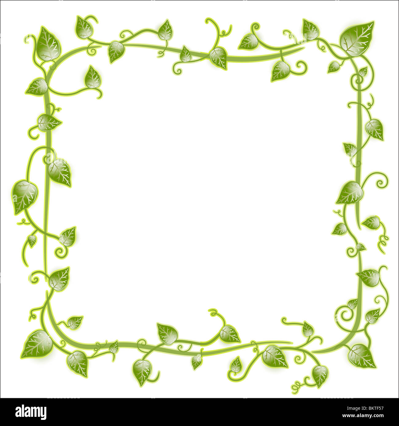 Vector illustration of a vintage floral leaf frame with modern curls and vines. Stock Photo