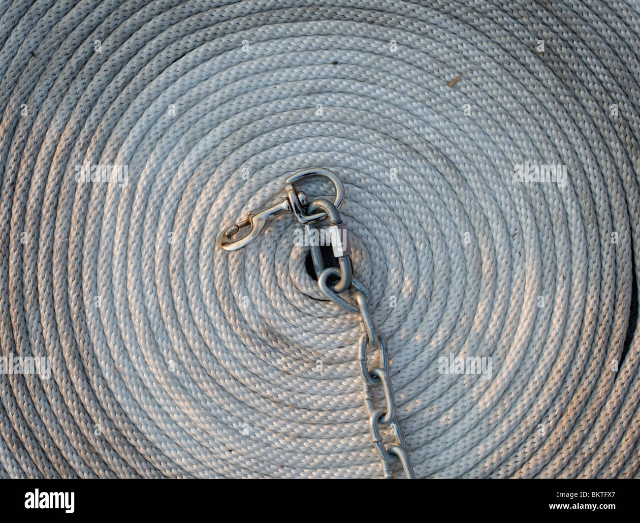 Los angeles nov 16 hi-res stock photography and images - Alamy