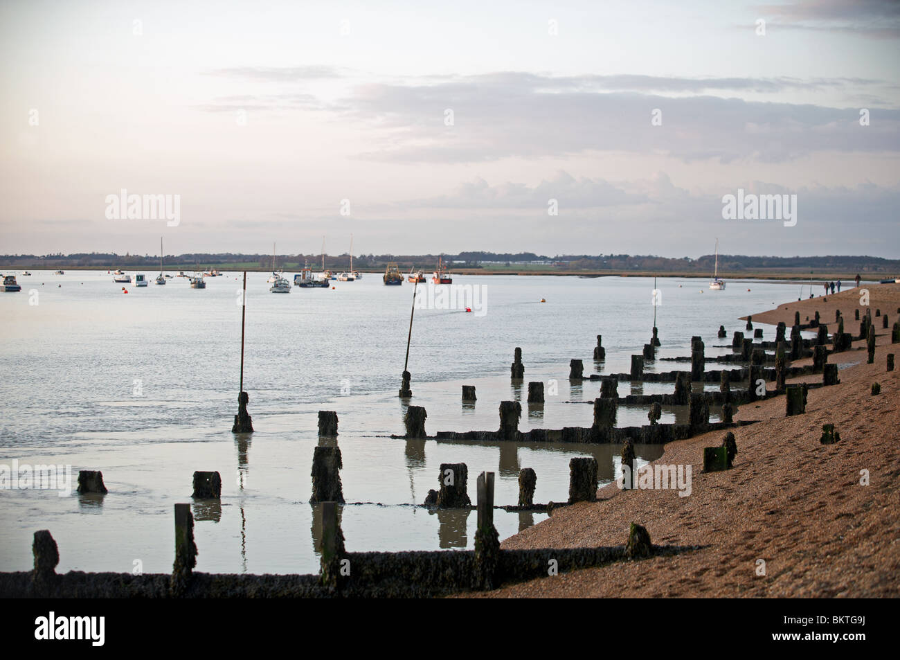 Wooden groynes, Bawdsey Ferry, Suffolk, UK. Stock Photo
