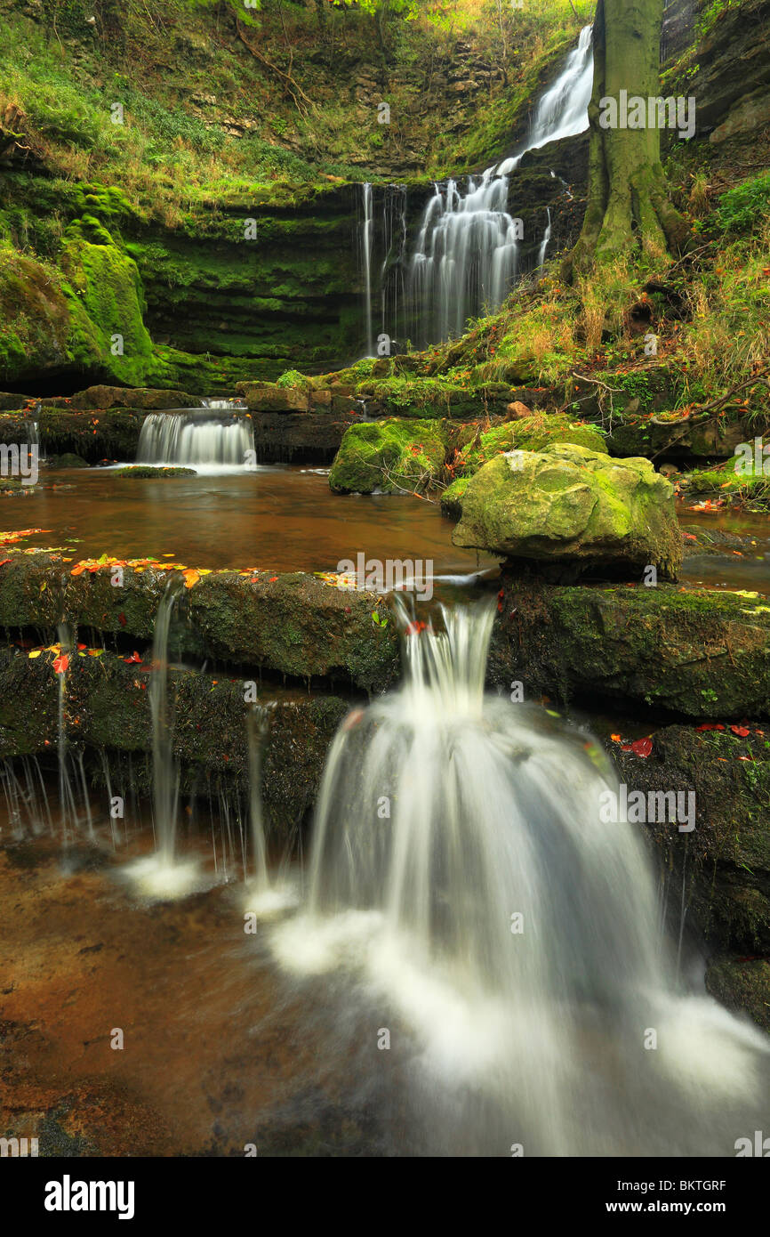 Autumn color at Scaleber Force near Settle in the Yorkshire Dales of England Stock Photo