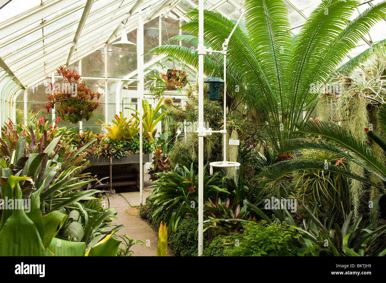 Volunteer Park Conservatory in Capitol Hill District of Seattle ...