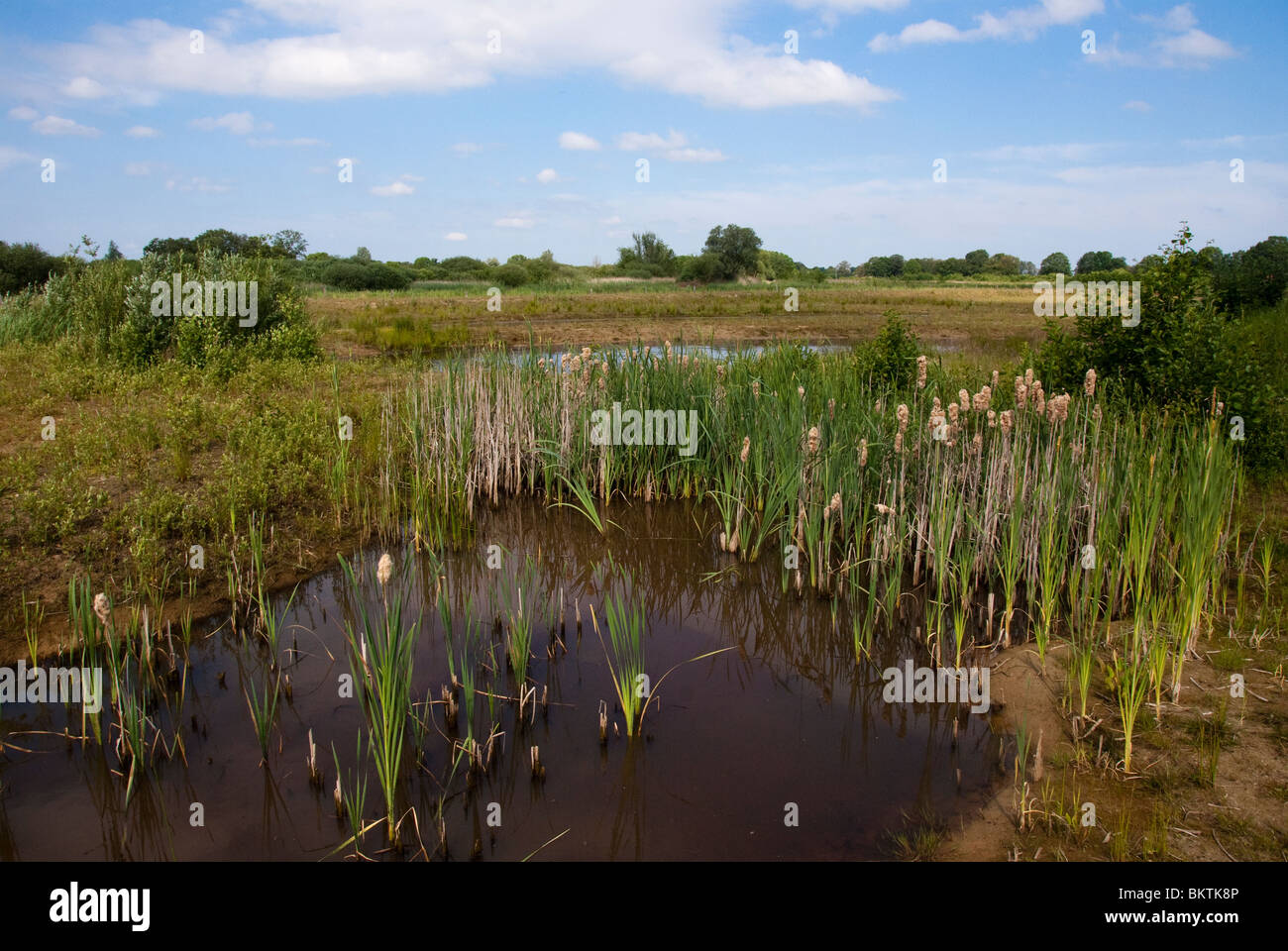 Uitzicht over de Doorbraak, het gedeelte bij het vogelkijkscherm Stock Photo
