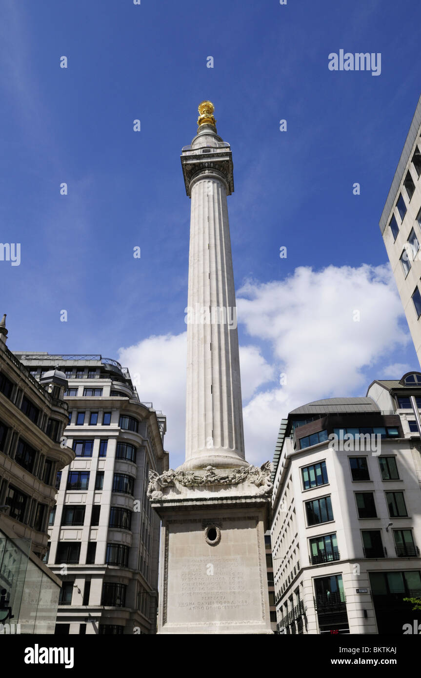 The Great Fire of London Monument, London, England, UK Stock Photo Alamy