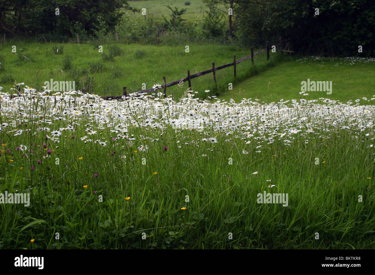 Charming landscaped gardens hi-res stock photography and images - Alamy