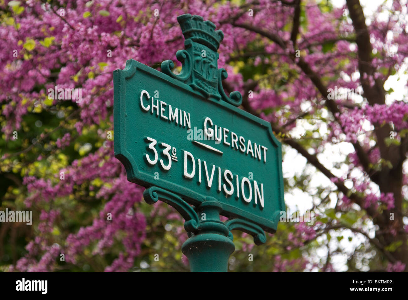 33rd Division in Montmartre cemetry, Paris Stock Photo