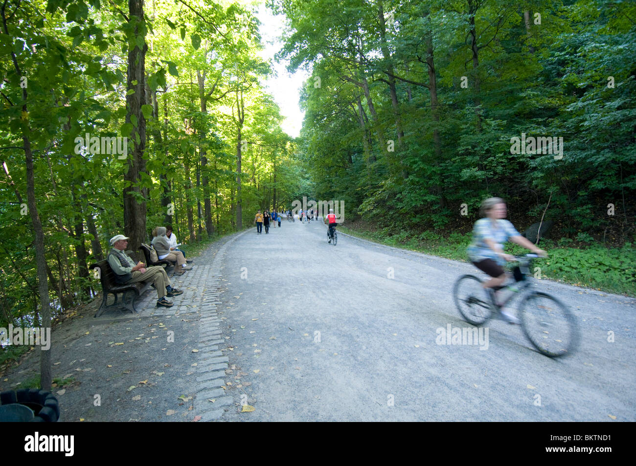 Mont royal park montreal stock photo alamy