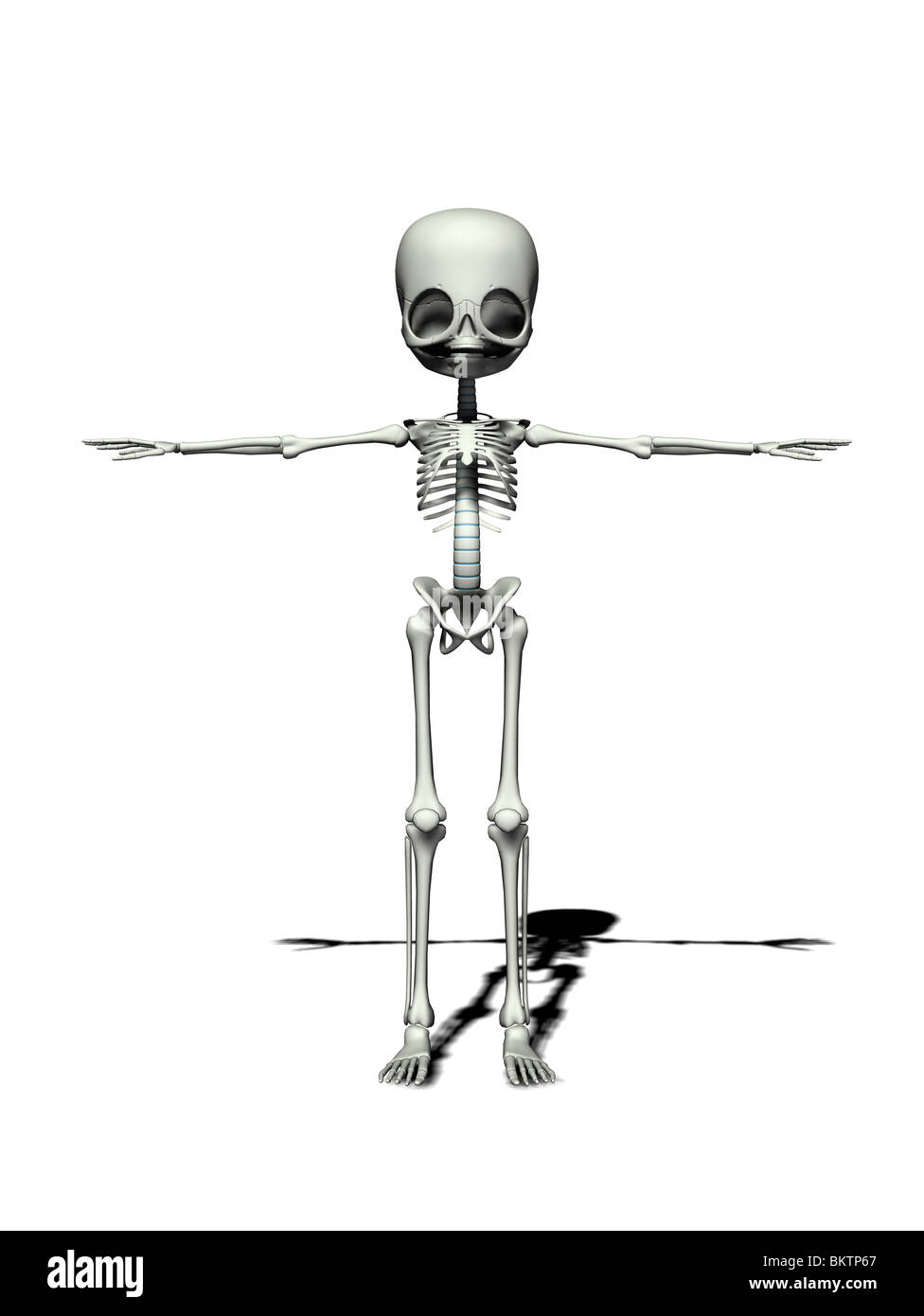 cartoon skeleton Stock Photo