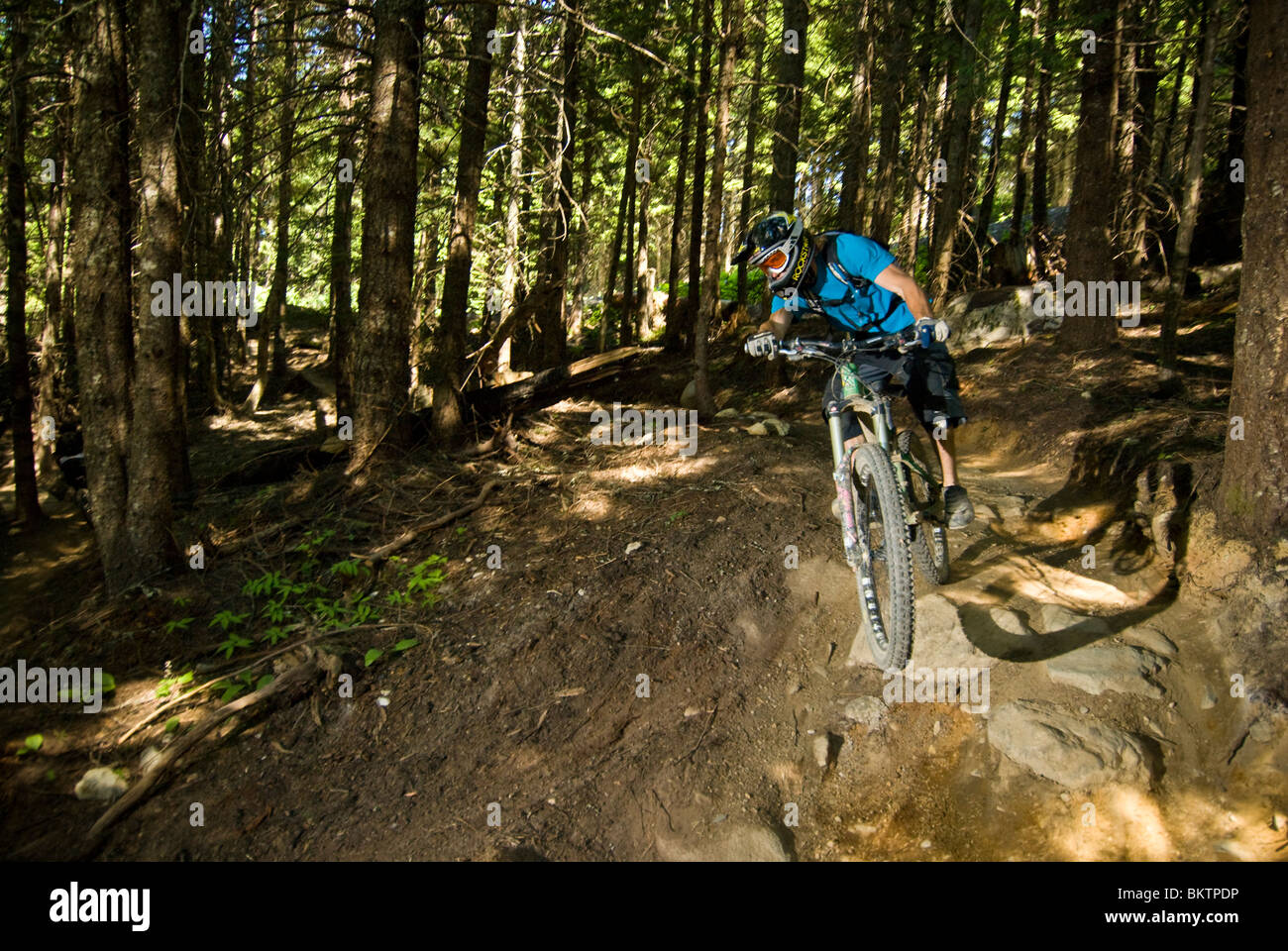 Downhill Mountain Biking in the World Famous Whistler Bike Park Stock Photo Alamy