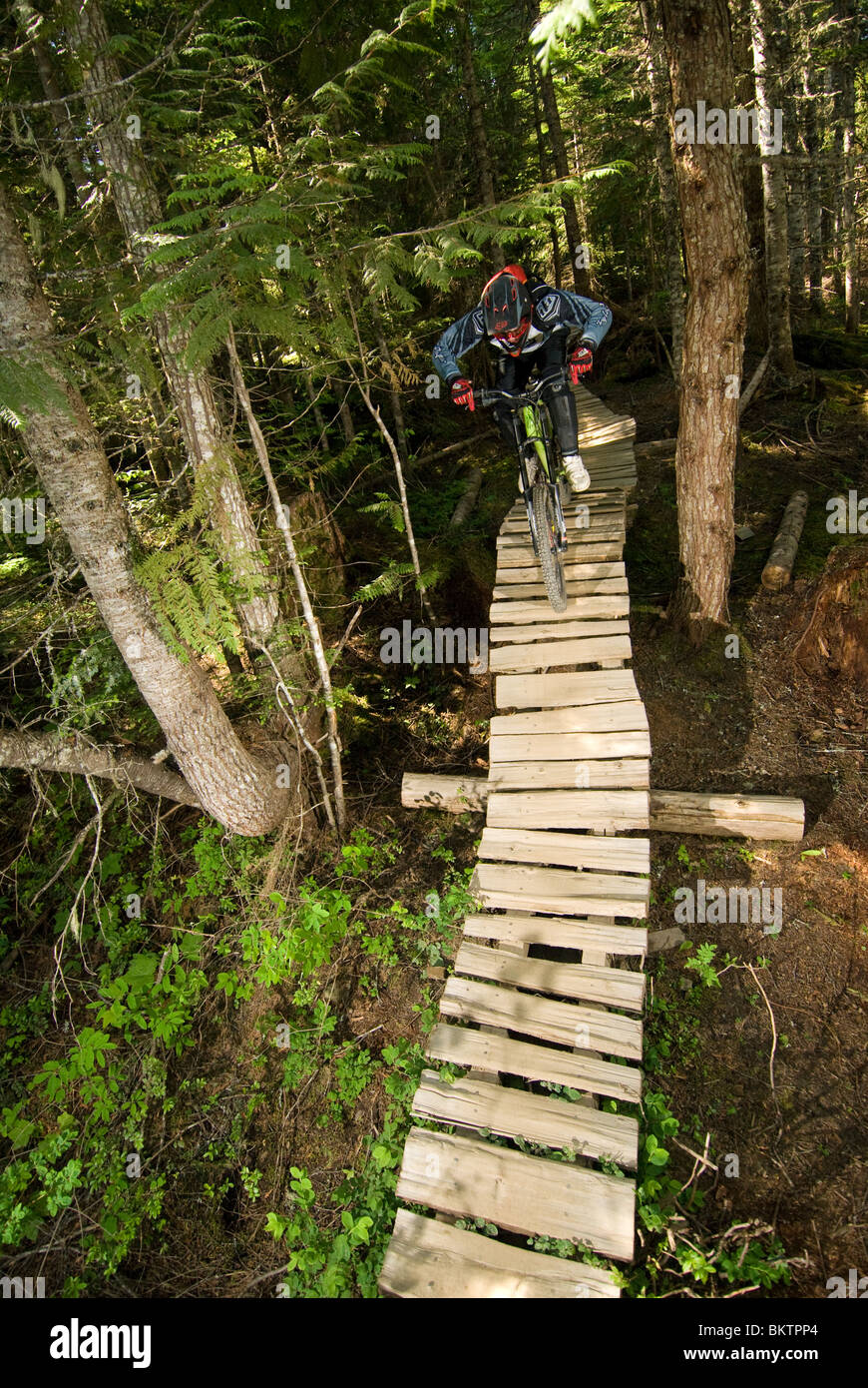 Downhill Mountain Biking in the world famous Whistler Bike Park in