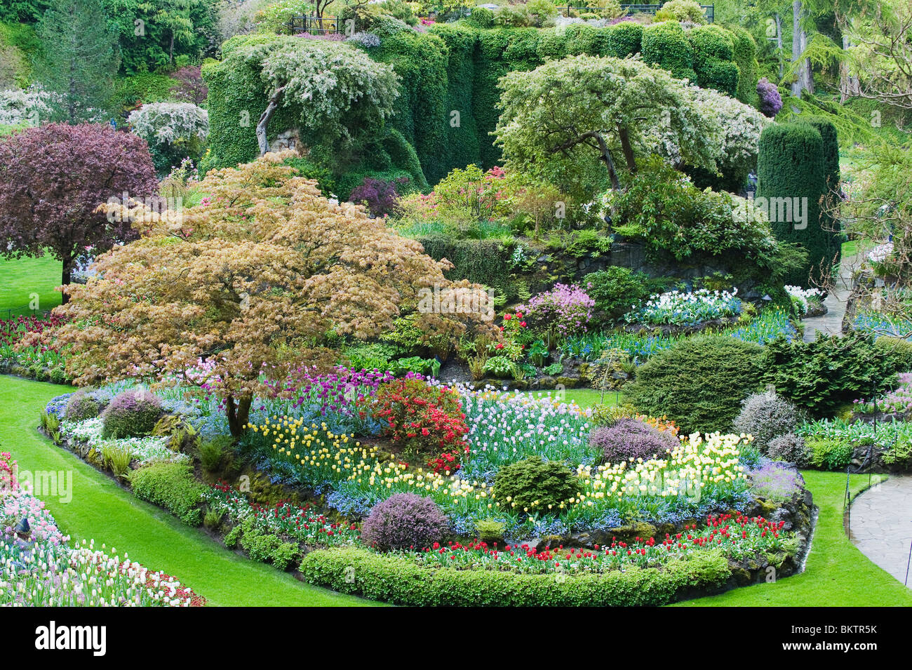 Sunken Garden, MAY, Butchart Gardens, Spring, Vancouver Island, BC Canada Stock Photo