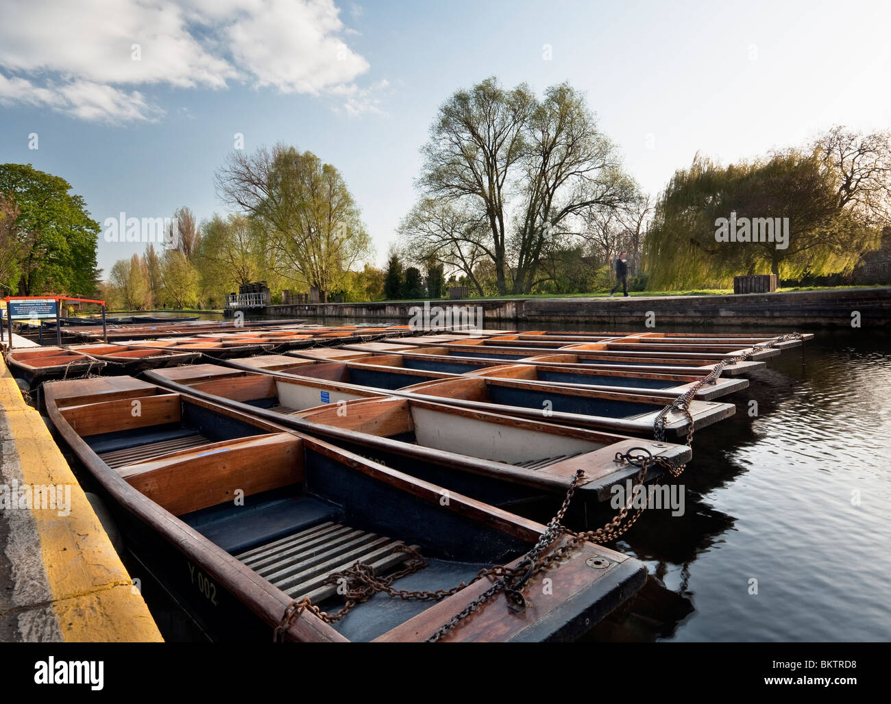 Punts on the River Cam at Scudamores Punt hire Cambridge Stock Photo