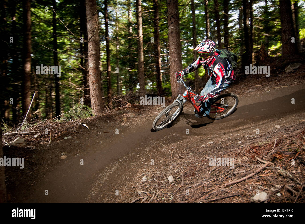 Downhill Mountain Biking in the World Famous Whistler Bike Park Stock Photo Alamy
