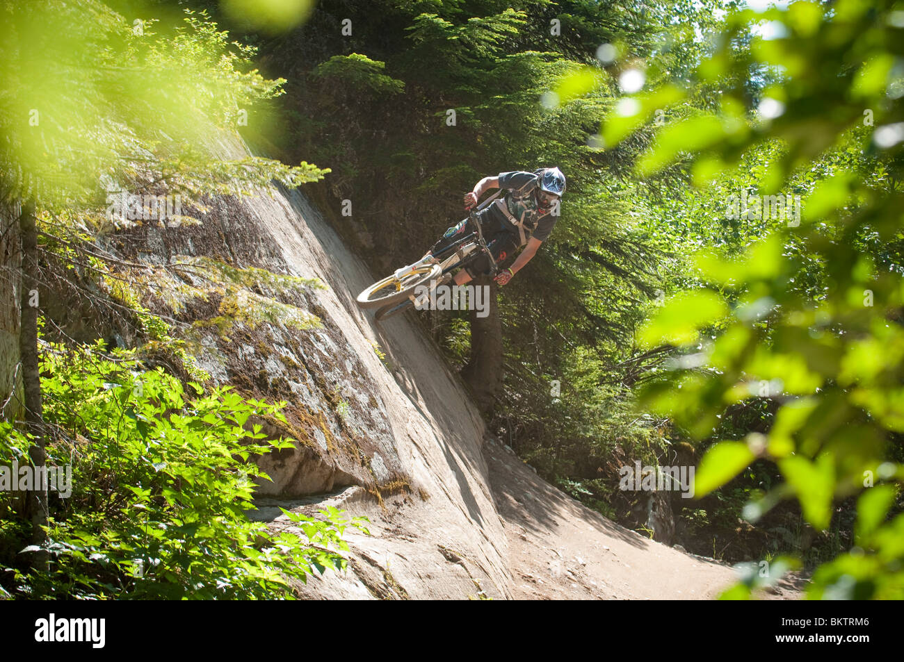 Downhill Mountain Biking in the world famous Whistler Bike Park in Whistler, BC, Canada Stock